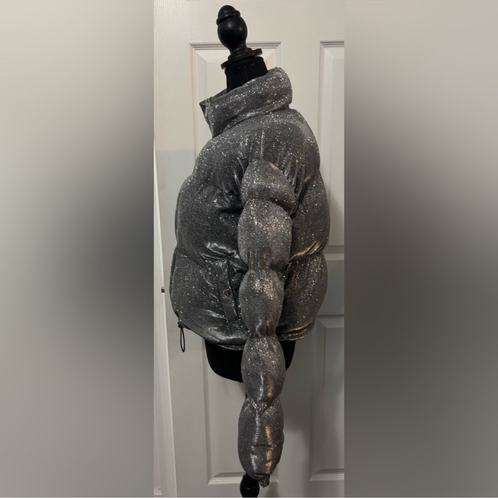 Dolls Kill Poster Girl Shimmering Silver Puffer Tundra Jacket xxs NWT - Picture 5 of 7